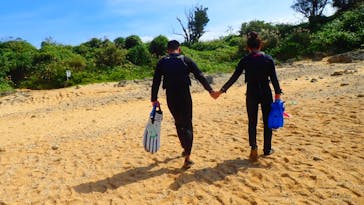 ダイビングショップ Sea Free（シーフリー）に投稿された画像（2020/11/2）