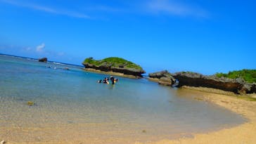 ダイビングショップ Sea Free（シーフリー）に投稿された画像（2020/11/2）