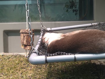 サンシャイン水族館に投稿された画像（2020/11/2）