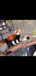 旭川市旭山動物園に投稿された画像（2020/11/2）