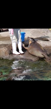 旭川市旭山動物園に投稿された画像（2020/11/2）