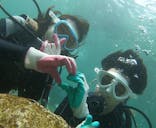 青の洞窟専門店　沖縄ダイビングショップ和に投稿された画像（2020/11/2）