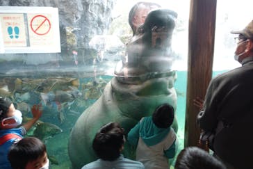 天王寺動物園に投稿された画像（2020/11/2）