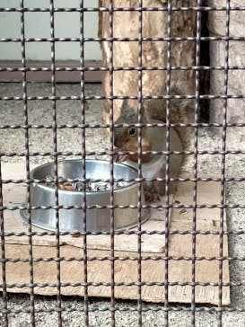 天王寺動物園に投稿された画像（2020/11/2）