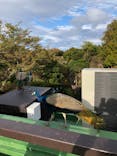伊豆シャボテン動物公園に投稿された画像（2020/11/2）