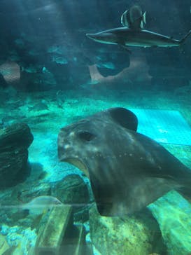 株式会社Gに投稿された画像（2020/11/2）