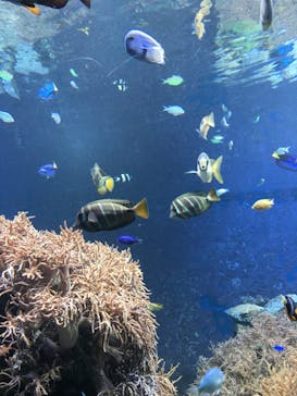 株式会社Gに投稿された画像（2020/11/2）