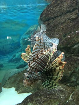 株式会社Gに投稿された画像（2020/11/2）