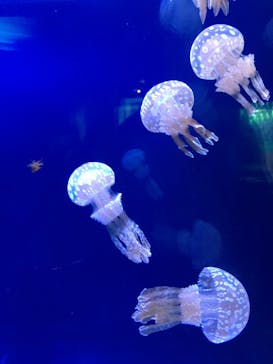 株式会社Gに投稿された画像（2020/11/2）