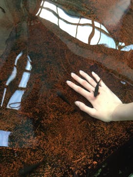 株式会社Gに投稿された画像（2020/11/2）