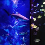 すみだ水族館に投稿された画像（2020/11/2）