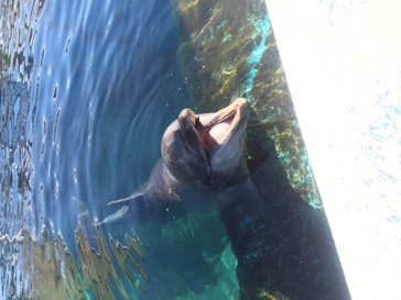 横浜・八景島シーパラダイスに投稿された画像（2020/11/2）
