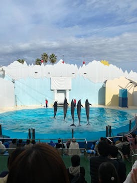 株式会社Gに投稿された画像（2020/11/2）