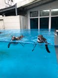 鳥羽水族館に投稿された画像（2020/11/2）