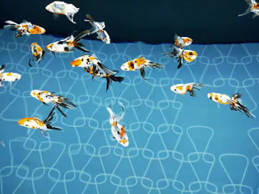 すみだ水族館に投稿された画像（2020/11/2）