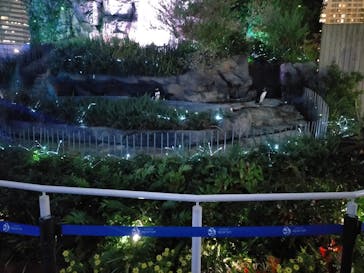 サンシャイン水族館に投稿された画像（2020/11/2）