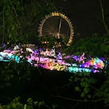 よみうりランド 遊園地に投稿された画像（2020/11/2）