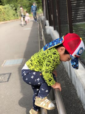 天王寺動物園に投稿された画像（2020/11/2）