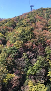 びわ湖バレイに投稿された画像（2020/11/2）