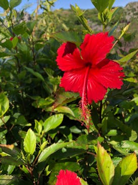 アスムイハイクスに投稿された画像（2020/11/2）