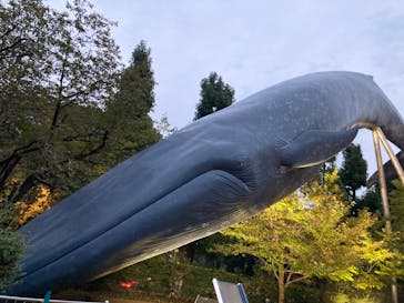 国立科学博物館に投稿された画像（2020/11/2）