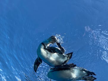 サンシャイン水族館に投稿された画像（2020/11/2）