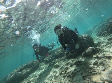 武藤潜水に投稿された画像（2020/11/2）