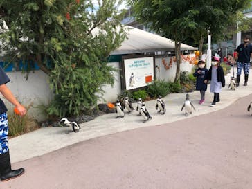 横浜・八景島シーパラダイスに投稿された画像（2020/11/2）