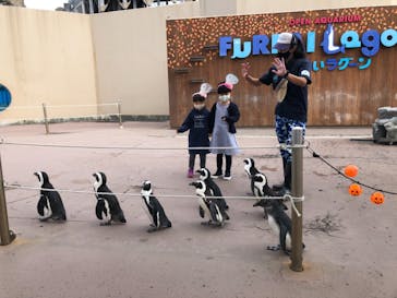 横浜・八景島シーパラダイスに投稿された画像（2020/11/2）