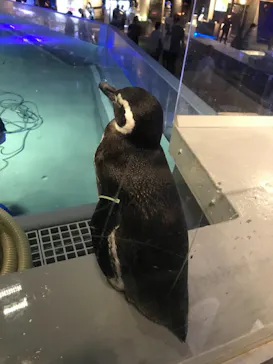 すみだ水族館に投稿された画像（2020/11/2）