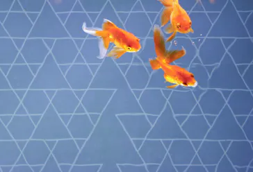 すみだ水族館に投稿された画像（2020/11/2）