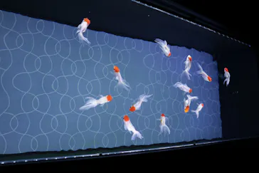 すみだ水族館に投稿された画像（2020/11/2）