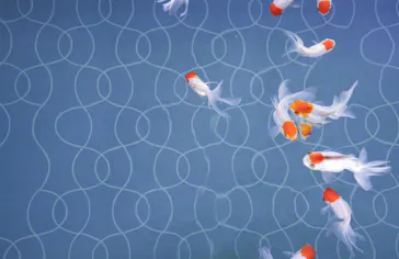 すみだ水族館に投稿された画像（2020/11/2）