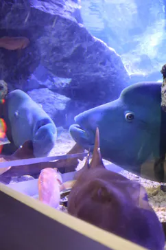 すみだ水族館に投稿された画像（2020/11/2）