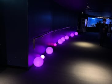 サンシャイン水族館に投稿された画像（2020/11/2）