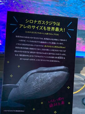 サンシャイン水族館に投稿された画像（2020/11/2）