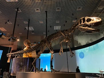 国立科学博物館に投稿された画像（2020/11/3）