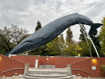 国立科学博物館に投稿された画像（2020/11/3）