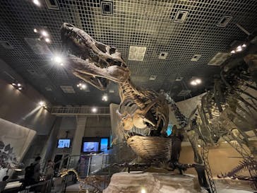 国立科学博物館に投稿された画像（2020/11/3）