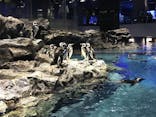すみだ水族館に投稿された画像（2020/11/3）