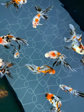 すみだ水族館に投稿された画像（2020/11/3）