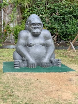 沖縄こどもの国に投稿された画像（2020/11/3）