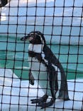 天王寺動物園に投稿された画像（2020/11/3）