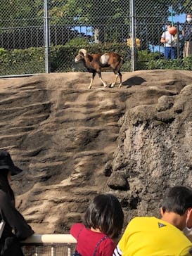 天王寺動物園に投稿された画像（2020/11/3）
