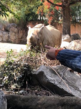 天王寺動物園に投稿された画像（2020/11/3）