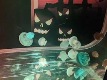 すみだ水族館に投稿された画像（2020/11/3）