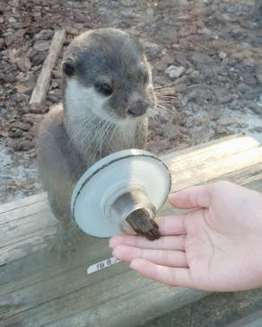 横浜・八景島シーパラダイスに投稿された画像（2020/11/3）