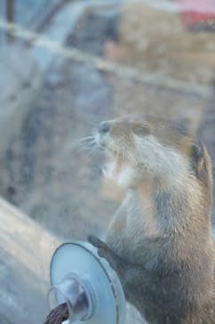 横浜・八景島シーパラダイスに投稿された画像（2020/11/3）