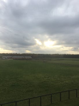 ノーザンホースパークに投稿された画像（2020/11/3）