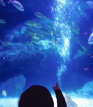 すみだ水族館に投稿された画像（2020/11/3）